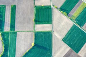 Dom Couldwell, Head of Field Engineering EMEA, DataStax: Improving water efficiency for farmers with IoT and generative AI