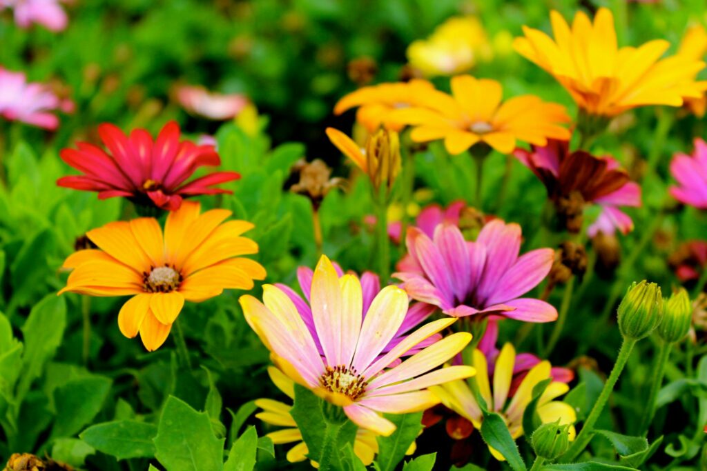 Keeping Your Garden Manageable All Year Round