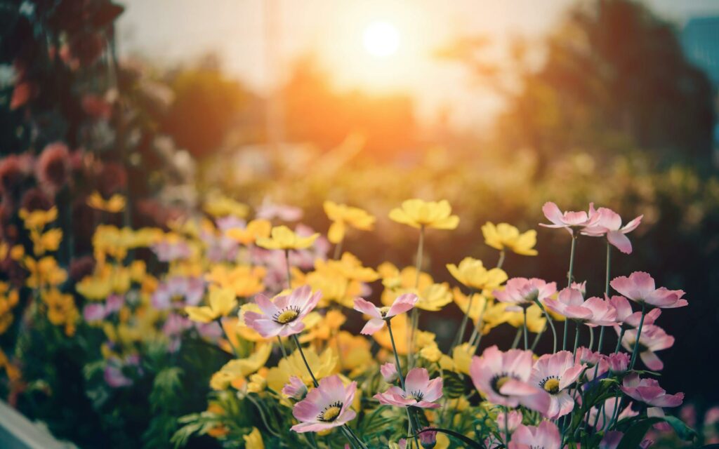 Keeping Your Garden Manageable All Year Round