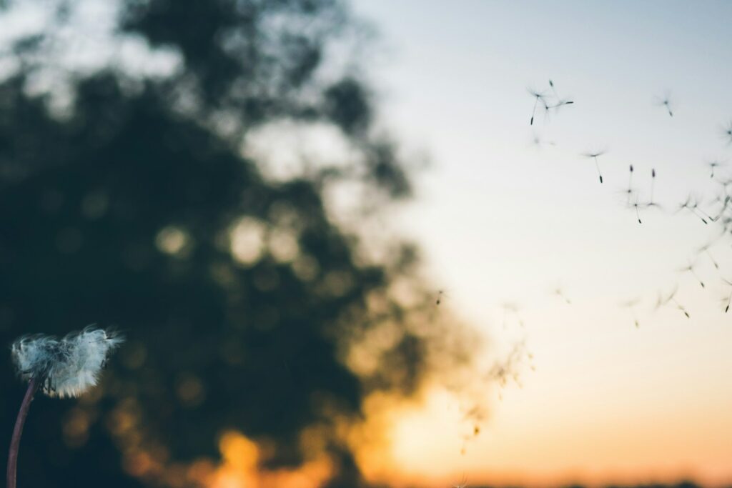 Leading the Charge in Allergy Diagnostics