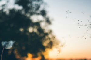 Leading the Charge in Allergy Diagnostics