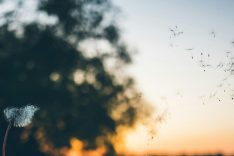 Leading the Charge in Allergy Diagnostics